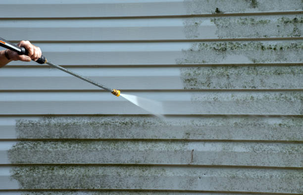 Best Residential Exterior Washing  in Homer, GA